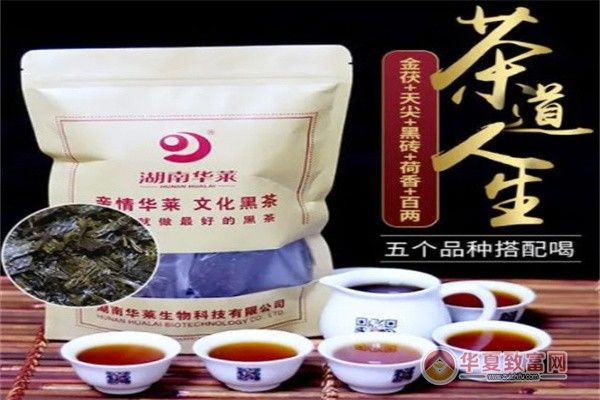 华莱健安化黑茶加盟