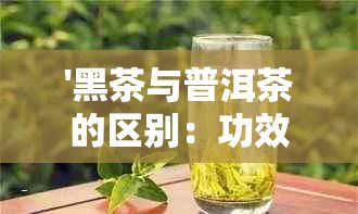 '黑茶与普洱茶的区别:功效、制作及哪种更好'