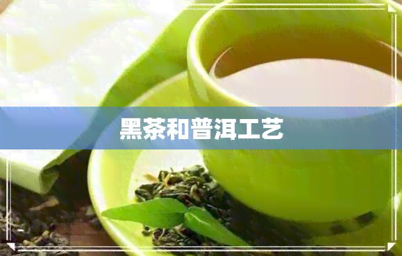 黑茶和普洱工艺