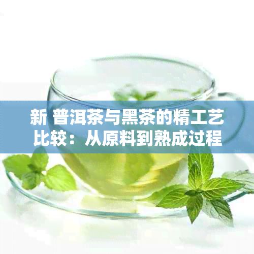 新 普洱茶与黑茶的精工艺比较:从原料到熟成过程的探讨
