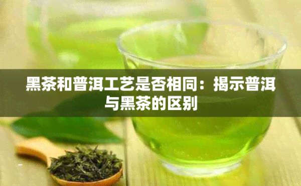 黑茶和普洱工艺是否相同:揭示普洱与黑茶的区别