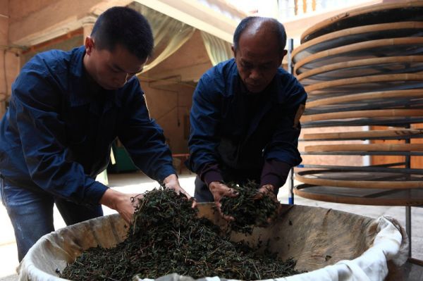 安化黑茶历史典故- 深刻了解中国最古老的黑茶文化