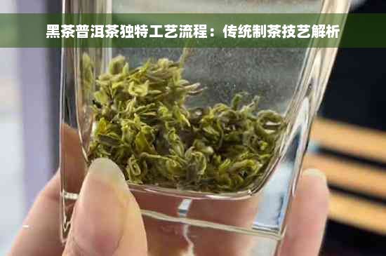 黑茶普洱茶独特工艺流程：传统制茶技艺解析