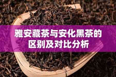 雅安藏茶与安化黑茶的区别及对比分析
