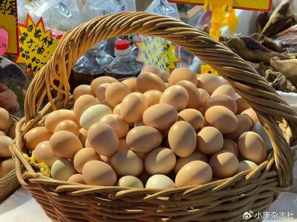图源:卡乐图片 摄影/贾琼