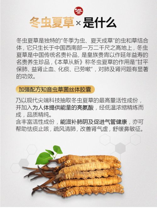 早春养肺 虫草当先，维特健灵知音虫草助力肺健康