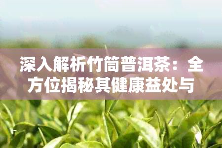 深入解析竹筒普洱茶：全方位揭秘其健康益处与饮用指南