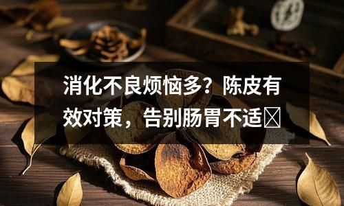 消化不良烦恼多？陈皮有效对策，告别肠胃不适​