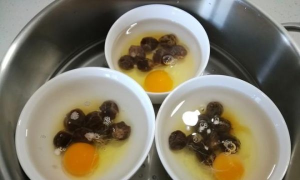 健康營(yíng)養(yǎng)的雞蛋料理——水燉蛋（雞蛋料理的美味與健康）