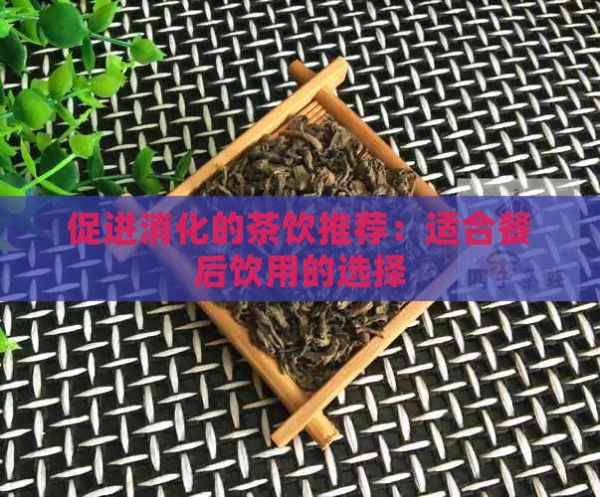 促进消化的茶饮推荐：适合餐后饮用的选择
