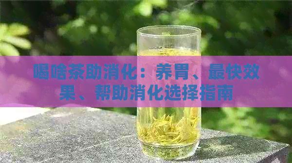 喝啥茶助消化：养胃、最快效果、帮助消化选择指南