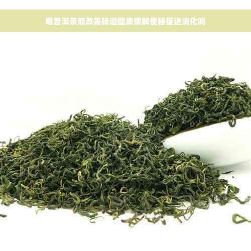 喝普洱茶能改善肠道健康缓解便秘促进消化吗
