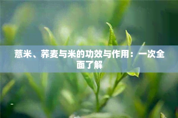 薏米、荞麦与米的功效与作用：一次全面了解