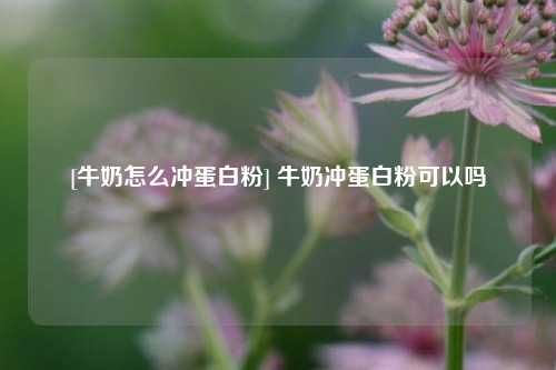 [牛奶怎么冲蛋白粉] 牛奶冲蛋白粉可以吗