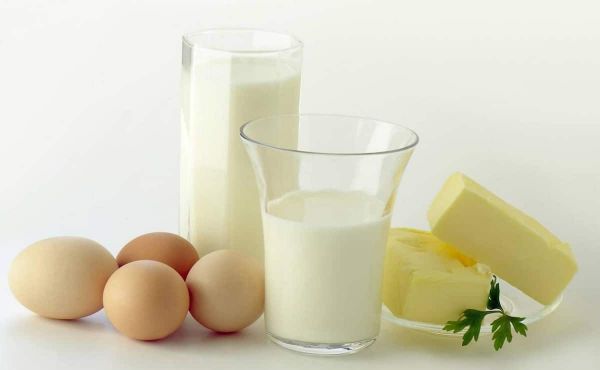 leche y lacteos