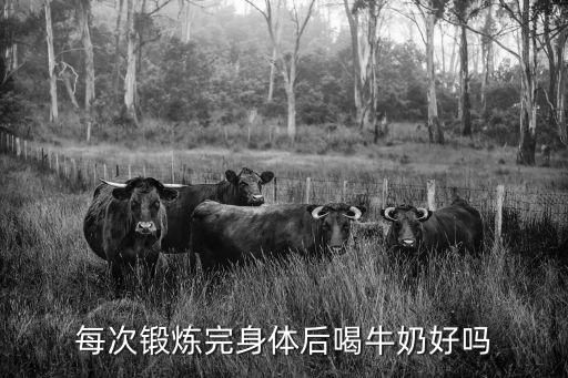 每次锻炼完身体后喝牛奶好吗