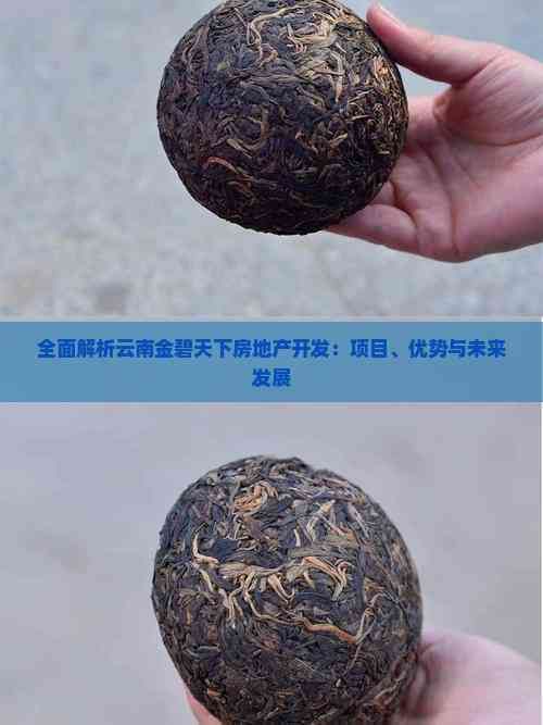 全面解析云南金碧天下房地产开发：项目、优势与未来发展