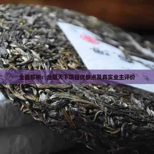 全面解析：金碧天下项目优缺点及真实业主评价