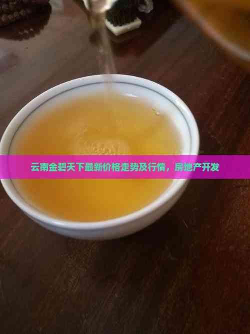 云南金碧天下最新价格走势及行情，房地产开发