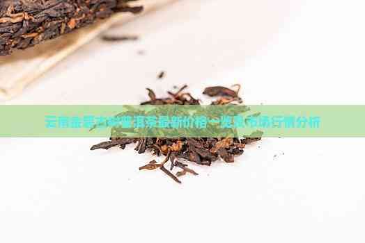 云南金碧古树普洱茶最新价格一览及市场行情分析