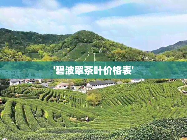 '碧波翠茶叶价格表'