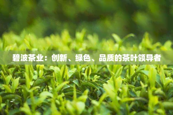 碧波茶业：创新、绿色、品质的茶叶领导者