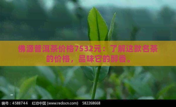 佛源普洱茶价格7532元：了解这款名茶的价格，品味它的醇香。