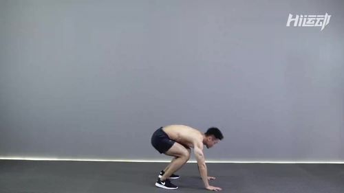波比运动