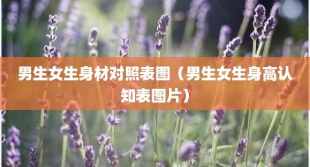 男生女生身材对照表图（男生女生身高认知表图片）