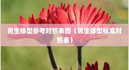男生体型参考对照表图（男生体型标准对照表）