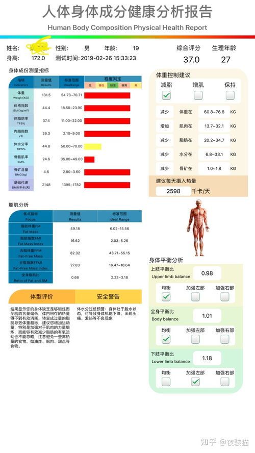 減肥訓練營一個月費用大概多少