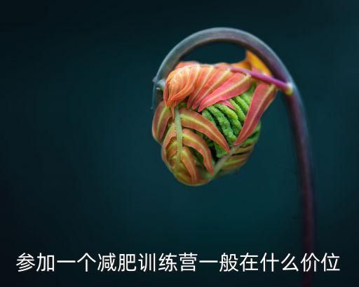 参加一个减肥训练营一般在什么价位