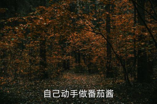 自己动手做番茄酱