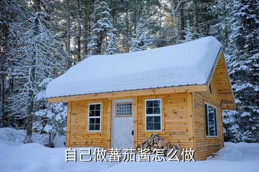 自己做蕃茄酱怎么做