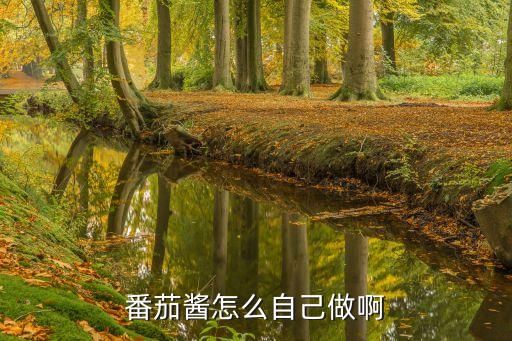 番茄酱怎么自己做啊