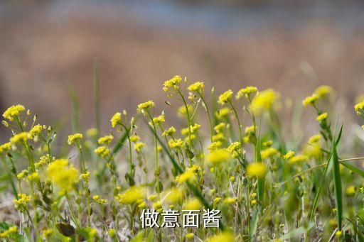 做意面醬