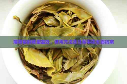 薄荷茶的健康益处、使用方法及注意事项全面指南