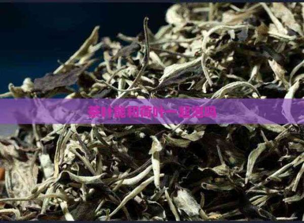 茶叶能和荷叶一起泡吗