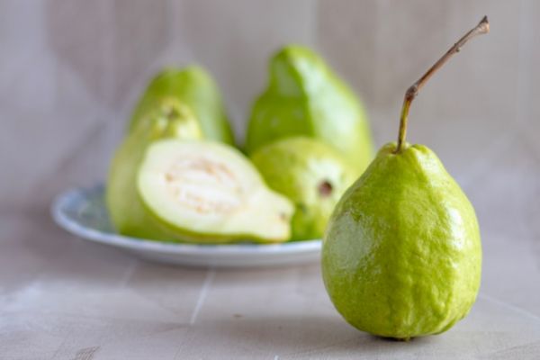 NutureFit營養(yǎng)專家|線上營養(yǎng)諮詢|營養(yǎng)菜單設(shè)計(jì)
