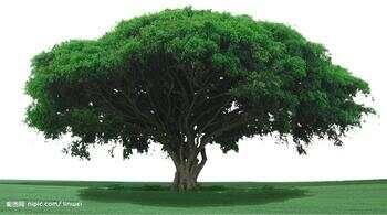 - 半点寒心 - 半点寒心的空间