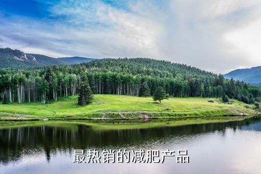 最热销的减肥产品