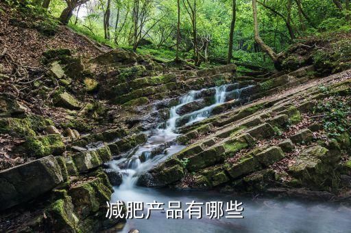 减肥产品有哪些