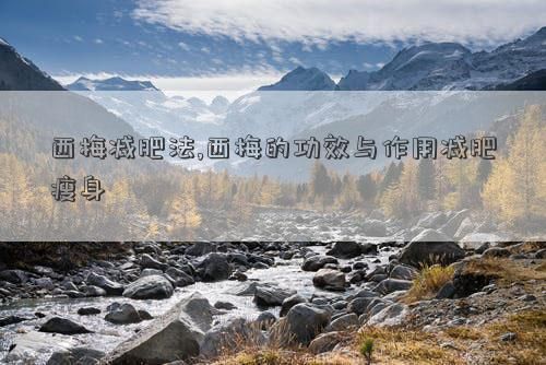 西梅减肥法,西梅的功效与作用减肥瘦身