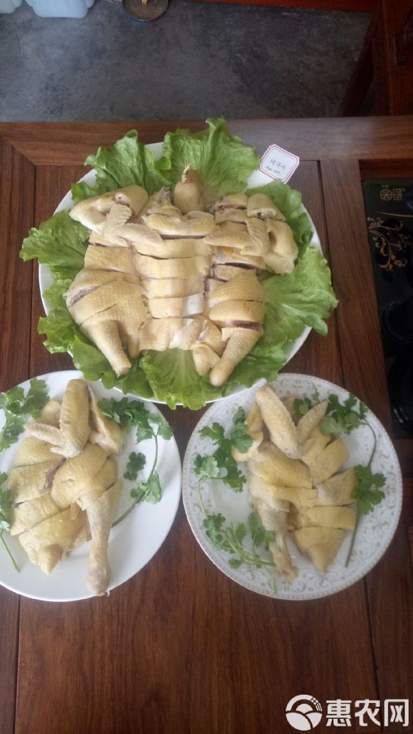 土鸡 绿保鸡，绿色环保健康食材，经海关检测达到22项零残留