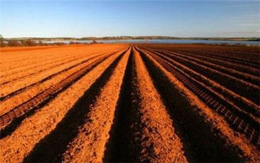 土地使用權(quán)出讓與土地使用權(quán)轉(zhuǎn)讓的區(qū)別