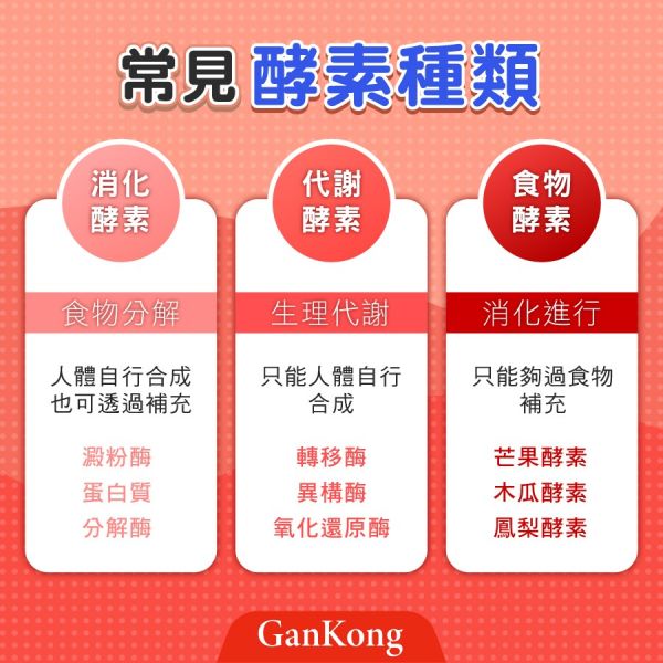 常見酵素種類有哪一些