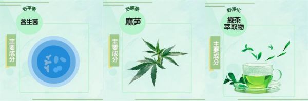 超級(jí)站「蔬果酵素清暢膠囊」具多種協(xié)助消化複方。(圖/超級(jí)站提供)
