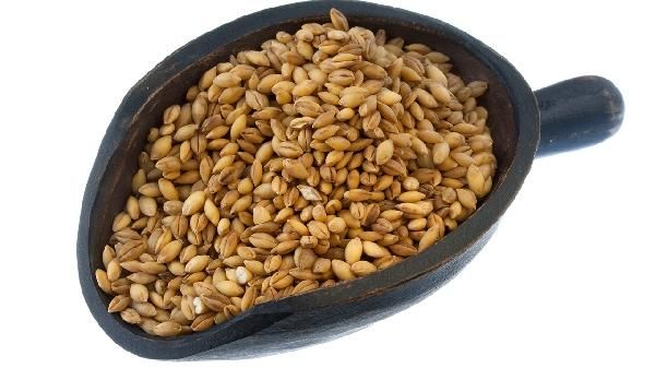 常吃哪些食物能提高抵抗力 多吃這些食物讓抵抗力更強(qiáng)