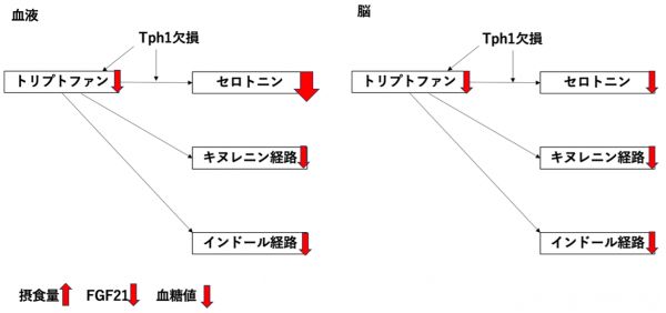 20250509_10.png