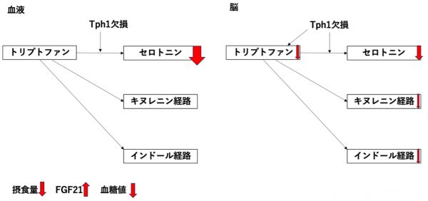 20250509_20.png